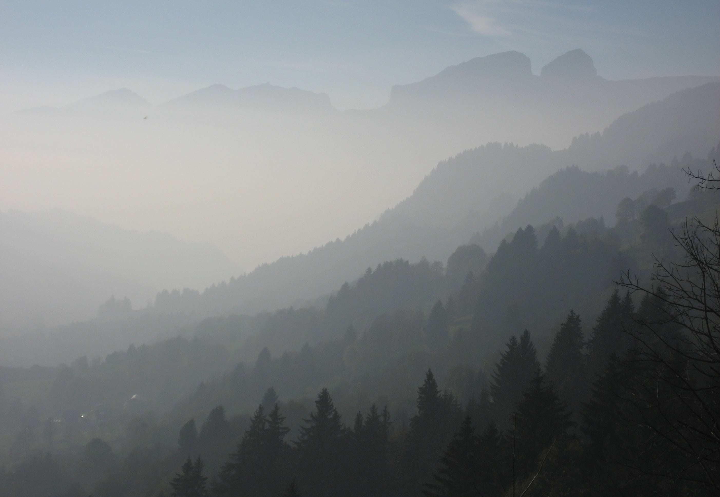 Brief an den November