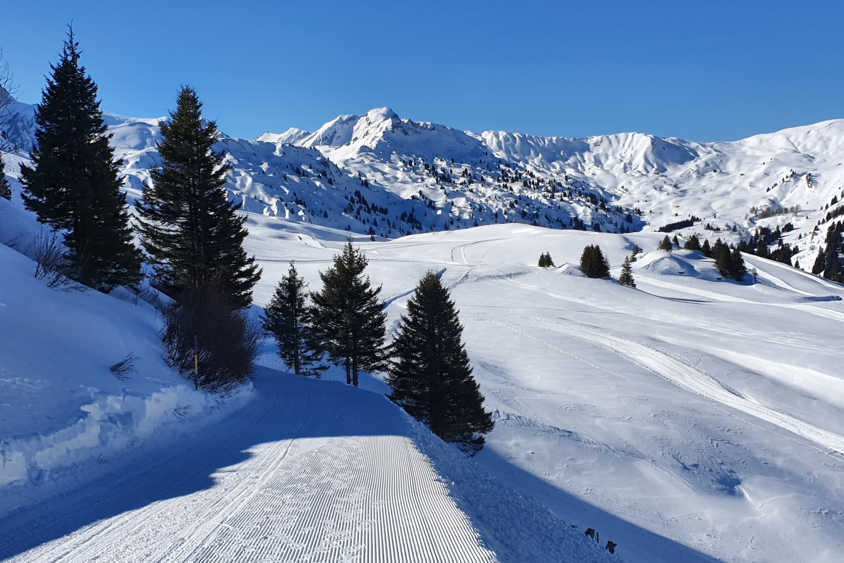 Gelebtes und Ungelebtes