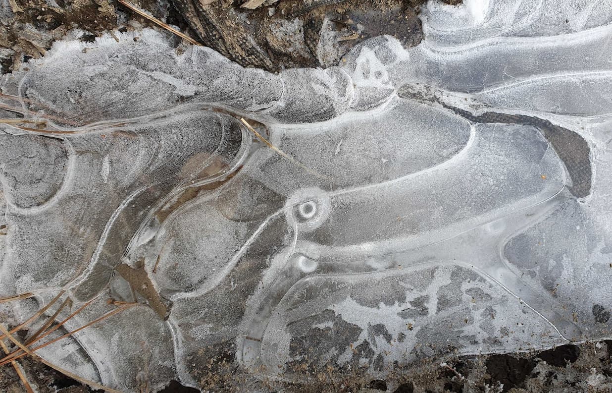 Weisheit des Winters